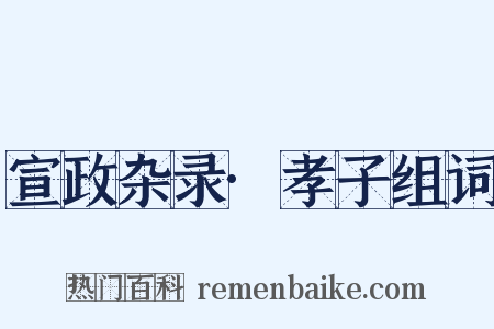 宣政杂录·孝子组词是什么意思的图片